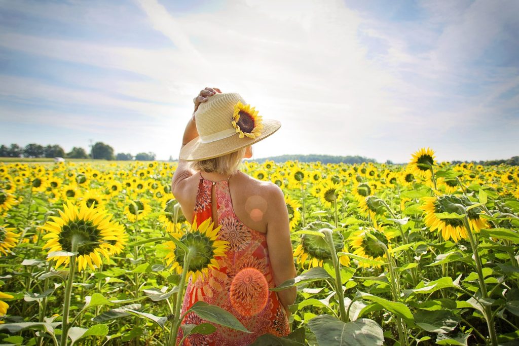 woman, sunflowers, flower background-3640935.jpg